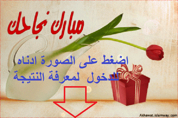 Img 1454411172 151 1
