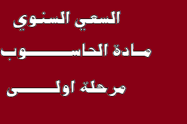 حاسوب اولل